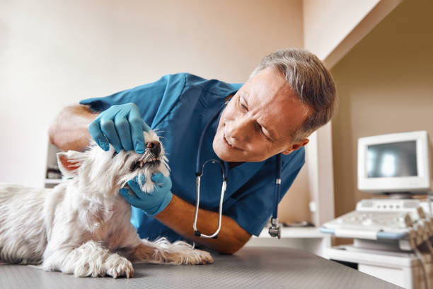 Best Pediatric Emergency Dentist in Lake View, AL